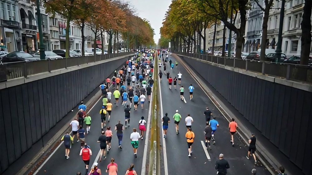 A group of runners take part in a marathon on a wide, divided road, lined with trees. The scene captures the diversity of the participants in an urban context, with autumn leaves visible on the tree-lined avenue.